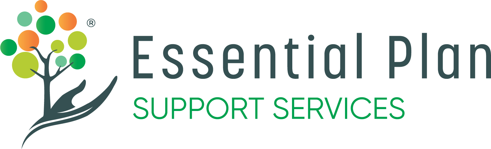 Essential Services New Logo