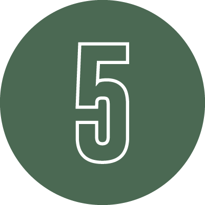 Asset 173 - Essential Plan Support Services - Essential Plan Support Services Green circular badge containing a white outlined number 5.