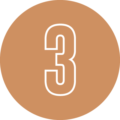 Asset 175 - Essential Plan Support Services - Essential Plan Support Services Step 3 badge: white outlined number 3 on a brown circular background.